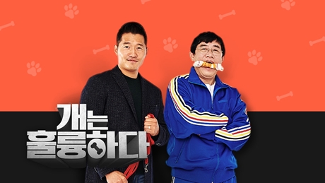 ▲'개는 훌륭하다'(사진제공=KBS 2TV)