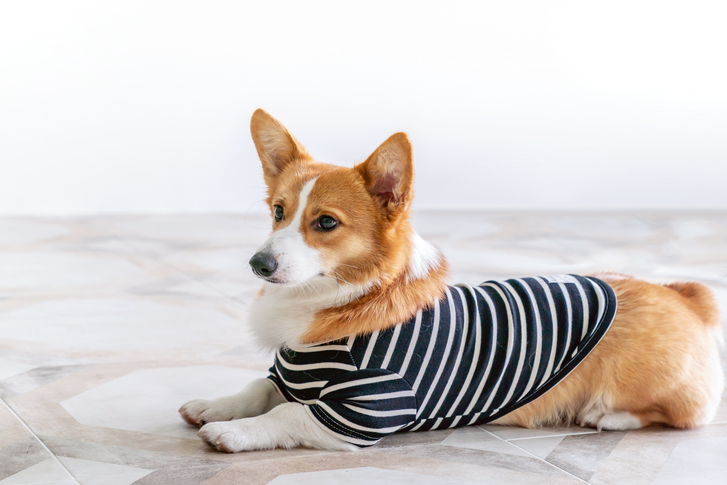 (게티이미지뱅크)