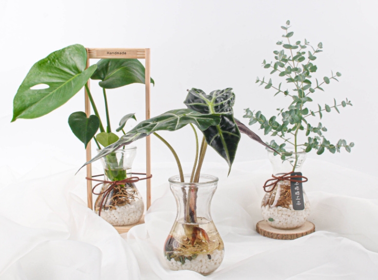 (사진제공=G마켓)