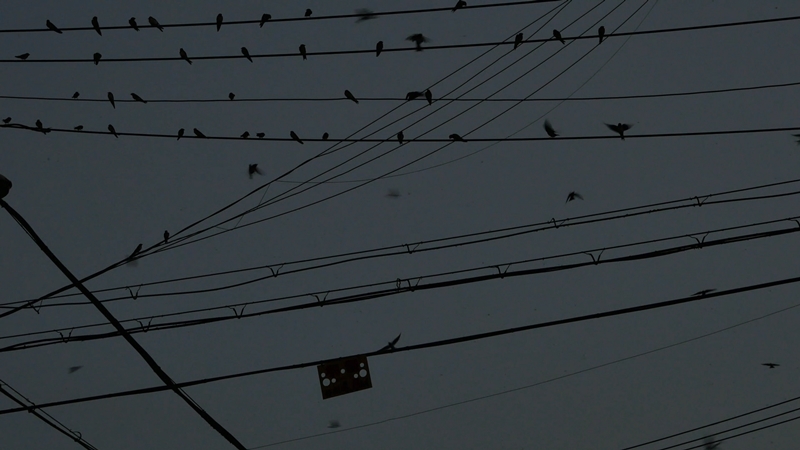 ▲박선민 '모든 떨리는 것에 대한 2'. (사진제공=백남준아트센터)