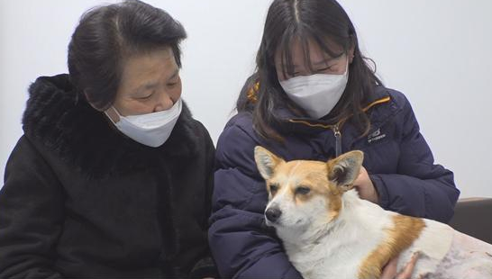 ▲'TV동물농장' (사진제공=SBS)