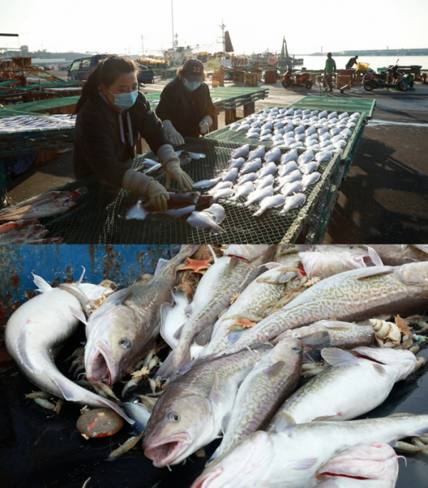 ▲‘바닷가 사람들’(사진제공=EBS1)