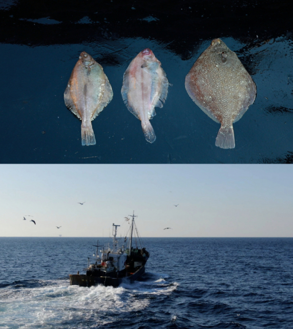 ▲‘바닷가 사람들’(사진제공=EBS1)