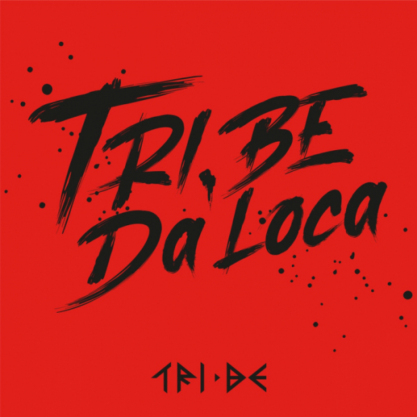 ▲트라이비(사진=티알엔터테인먼트, 멜로우엔터테인먼트 제공)