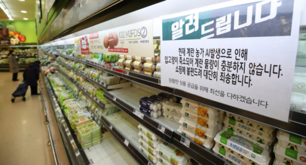 ▲ 1일 서울의 한 마트에서 달걀을 고르는 시민. (연합뉴스)