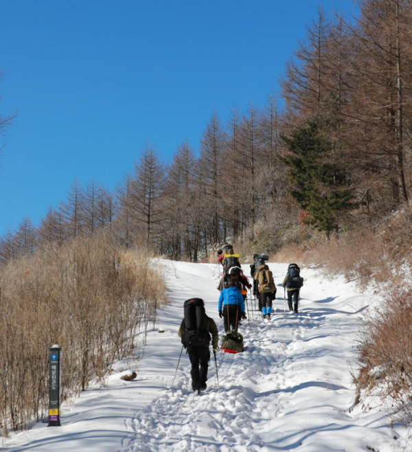 ▲‘하늘길 챌린지’는 해발 1426m 백운산 자락의 하늘길을 걸으며 지친 몸과 마음을 힐링할 수 있는 백패킹 프로그램으로 넓은 텐트 사이트와 화장실, 5성급 호텔 셰프가 조리한 도시락 등을 제공해 백패커들 사이에서 인기를 얻고 있다.
 (사진제공=하이원리조트)