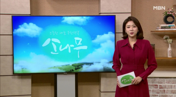 ▲'소나무'(사진제공=MBN)