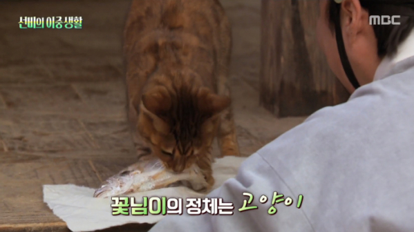 ▲신숙 꽃님이 고양이(사진=MBC 방송화면 캡처)