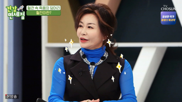 ▲진미령 나이 64세 가수(사진=TV조선 방송화면 캡처)