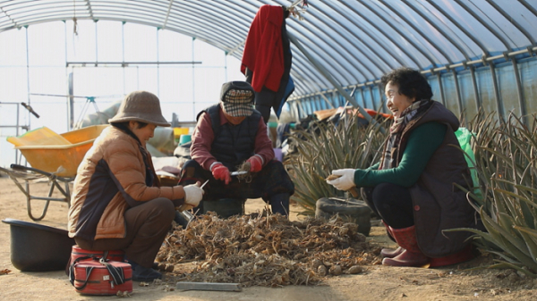 ▲'한국기행'(사진제공=EBS1)