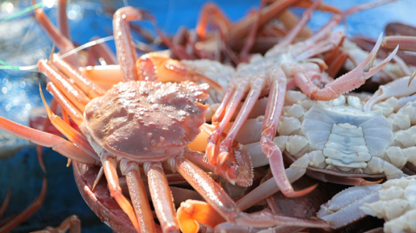 ▲'바닷가 사람들'(사진제공=EBS1)