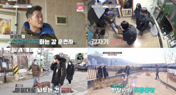 ▲‘개는 훌륭하다’(사진제공=KBS 2TV)