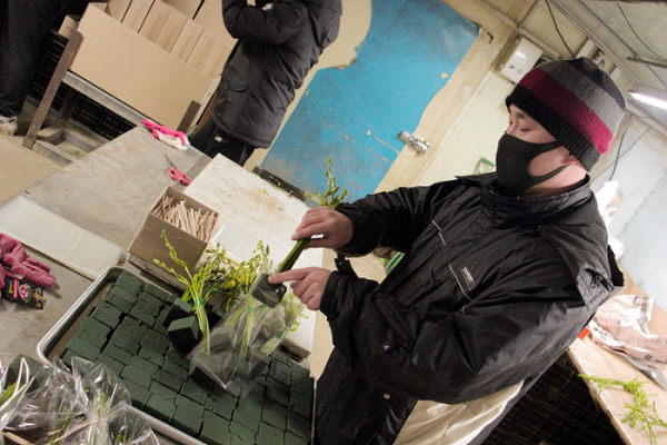 ▲'극한직업' 튤립(사진제공=EBS1)