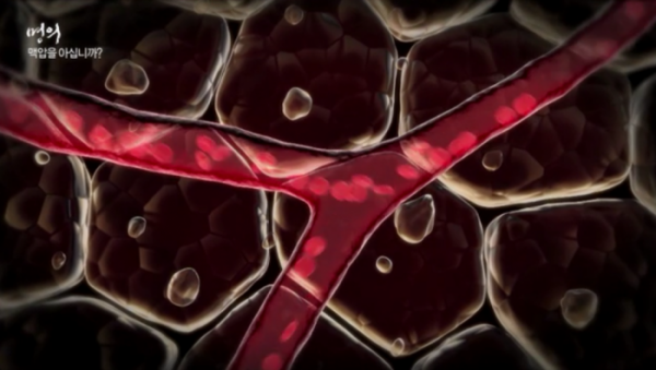 ▲'명의' 고혈압(사진제공=EBS1)