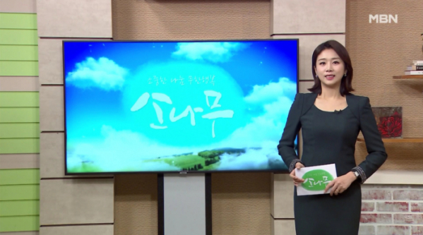 ▲'소나무'(사진제공=MBN)