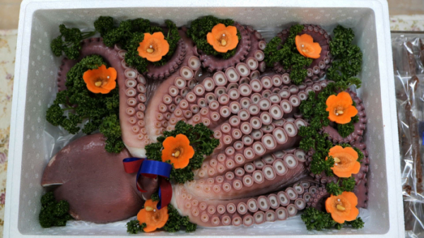 ▲‘바닷가 사람들’ 동해 대문어(사진제공=EBS1)