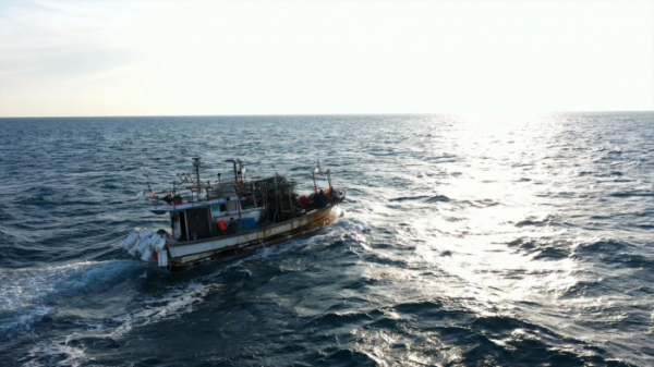 ▲‘바닷가 사람들’ 동해 대문어(사진제공=EBS1)