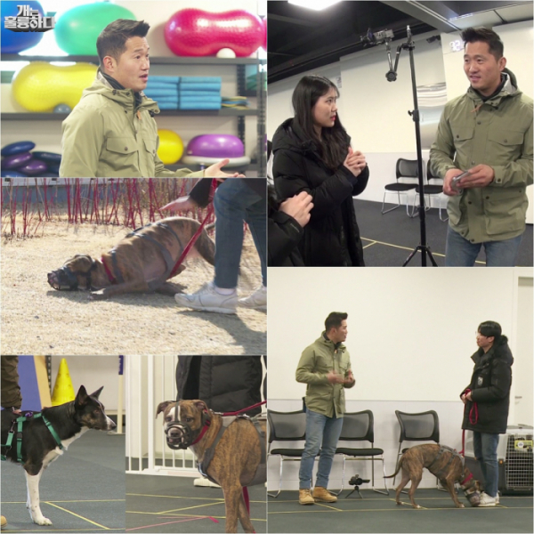 ▲'개는 훌륭하다'(사진제공=KBS 2TV)