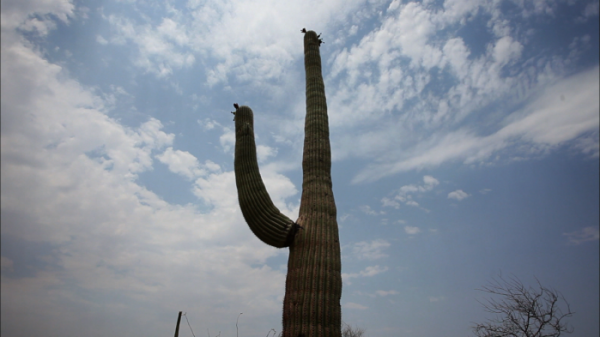 ▲'세계테마기행'(사진제공=EBS1)