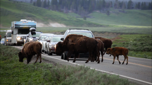 ▲'세계테마기행'(사진제공=EBS1)