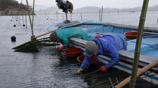 ▲'한국인의 밥상'(사진제공=KBS 1TV)