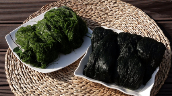 ▲'한국인의 밥상'(사진제공=KBS 1TV)