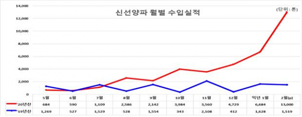 ▲신선양파 월별 수입실적. (자료제공=한국농수산식품유통공사)