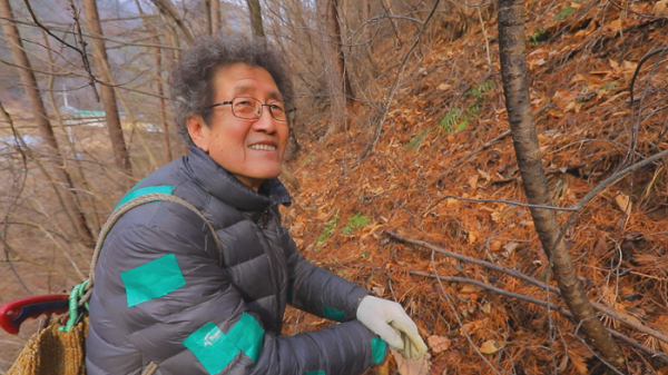 ▲EBS '한국기행'(사진제공=EBS1)