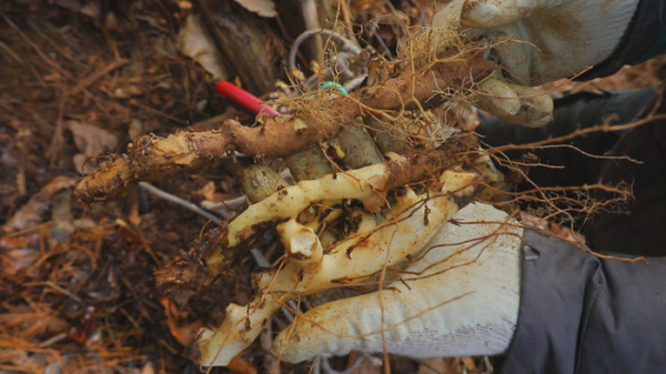 ▲EBS '한국기행'(사진제공=EBS1)