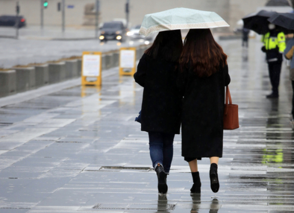 ▲서울 종로구 광화문광장에서 우산을 쓴 시민들이 걷고 있다. (뉴시스)