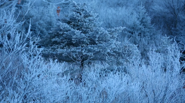 ▲'영상앨범 산' 지리산(사진제공=KBS 2TV)