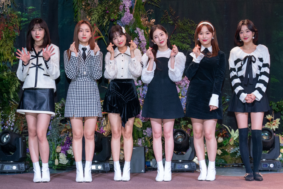 ▲DSP 공식입장 (뉴시스)