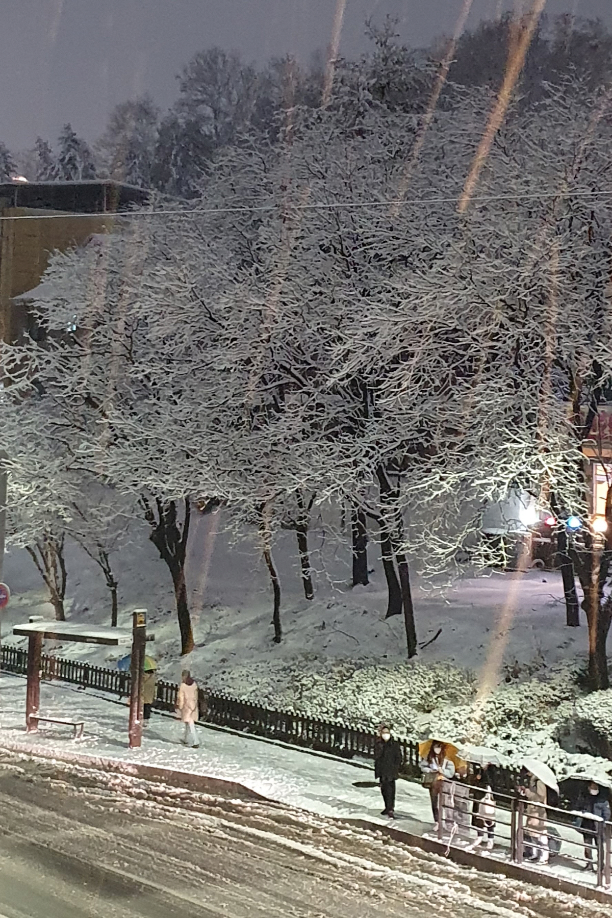 ▲강원 동해안과 산지, 내륙 대부분 지역에 대설특보가 발효 중인 1일 오후 강원 춘천시내에 많은 눈이 내려 쌓여 있다. 자료=연합뉴스