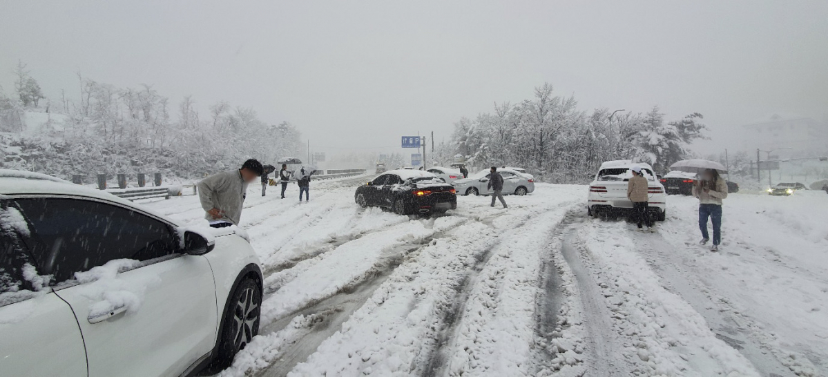 ▲강원 산간지역과 동해안에 폭설이 쏟아진 1일 강원 속초 미시령 도로에는 차량들이 폭설에 갇혀 주차장을 방불케 하고 있다. (뉴시스)
