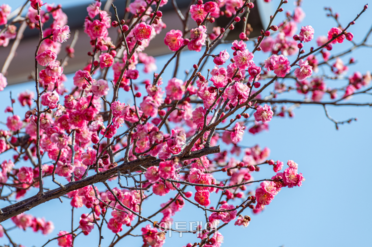 (조현호 기자 hyunho@)