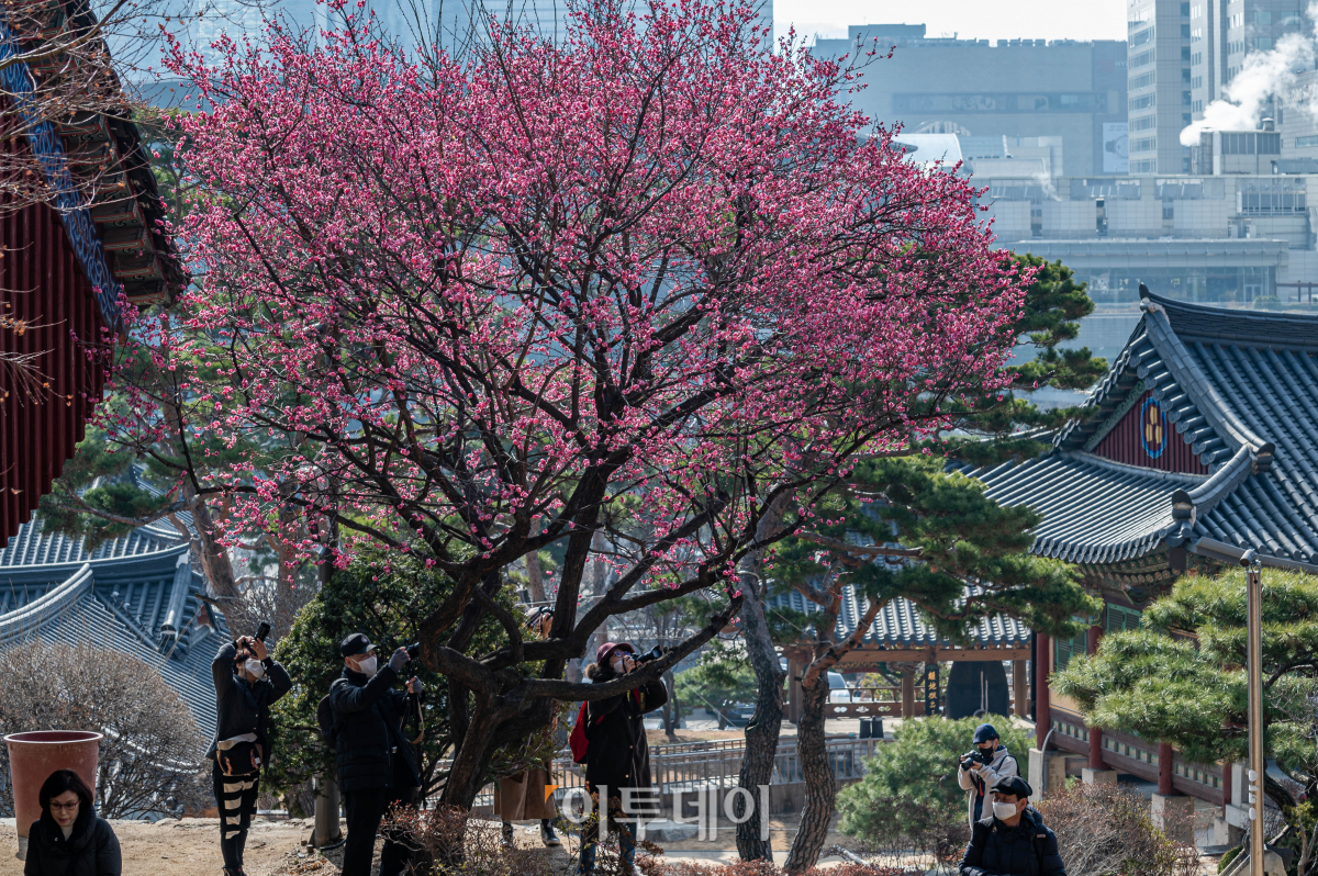 (조현호 기자 hyunho@)