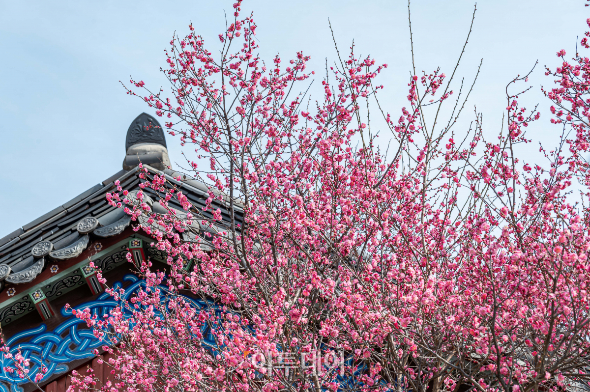 (조현호 기자 hyunho@)