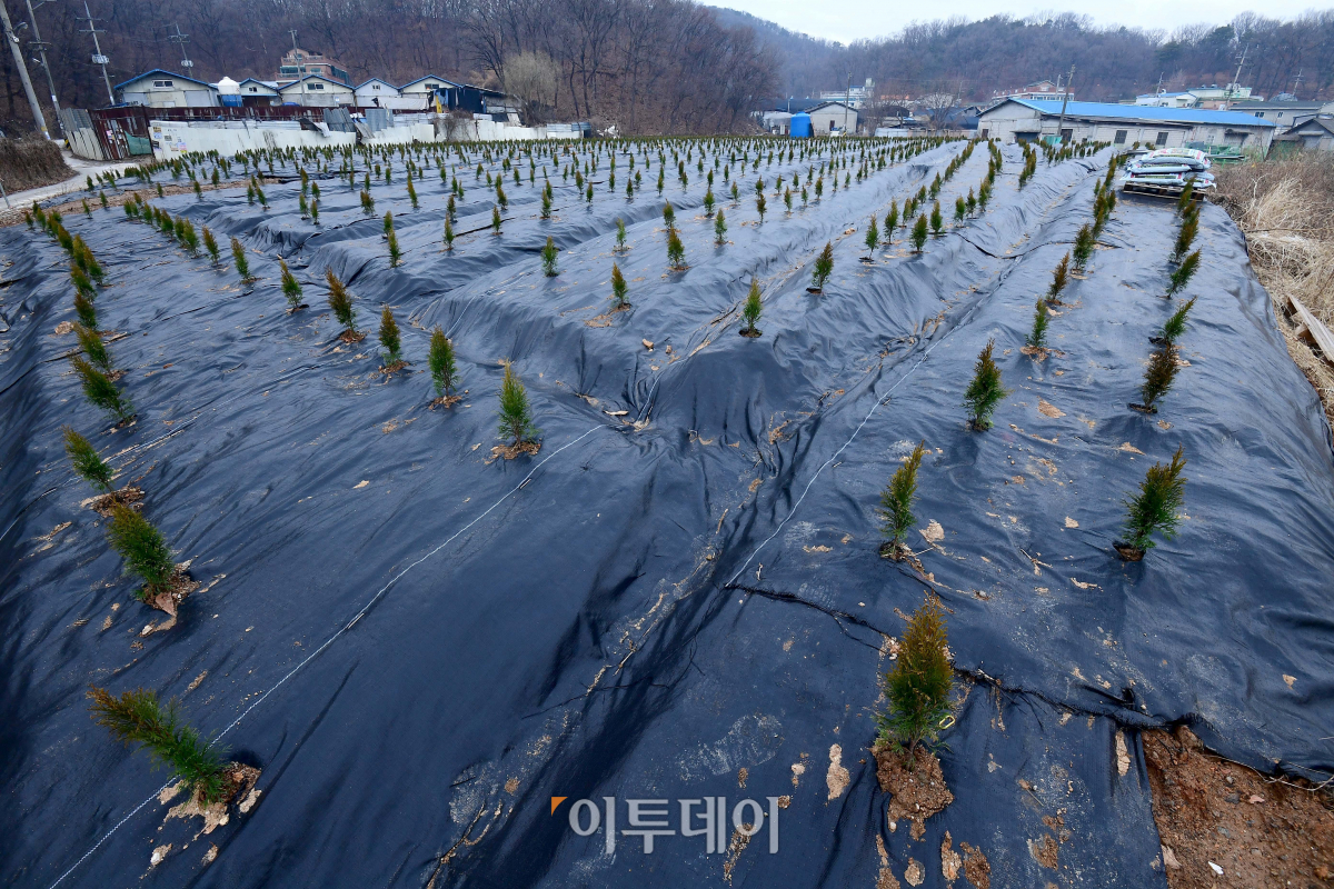 ▲한국토지주택공사(LH) 직원들의 투기 의혹이 제기된 경기 시흥시의 농지. (이투데이 DB)