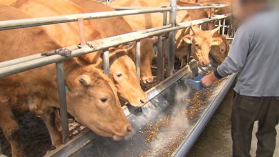 ▲'다큐 인사이트-마이크로바이옴'(사진제공=KBS 1TV)