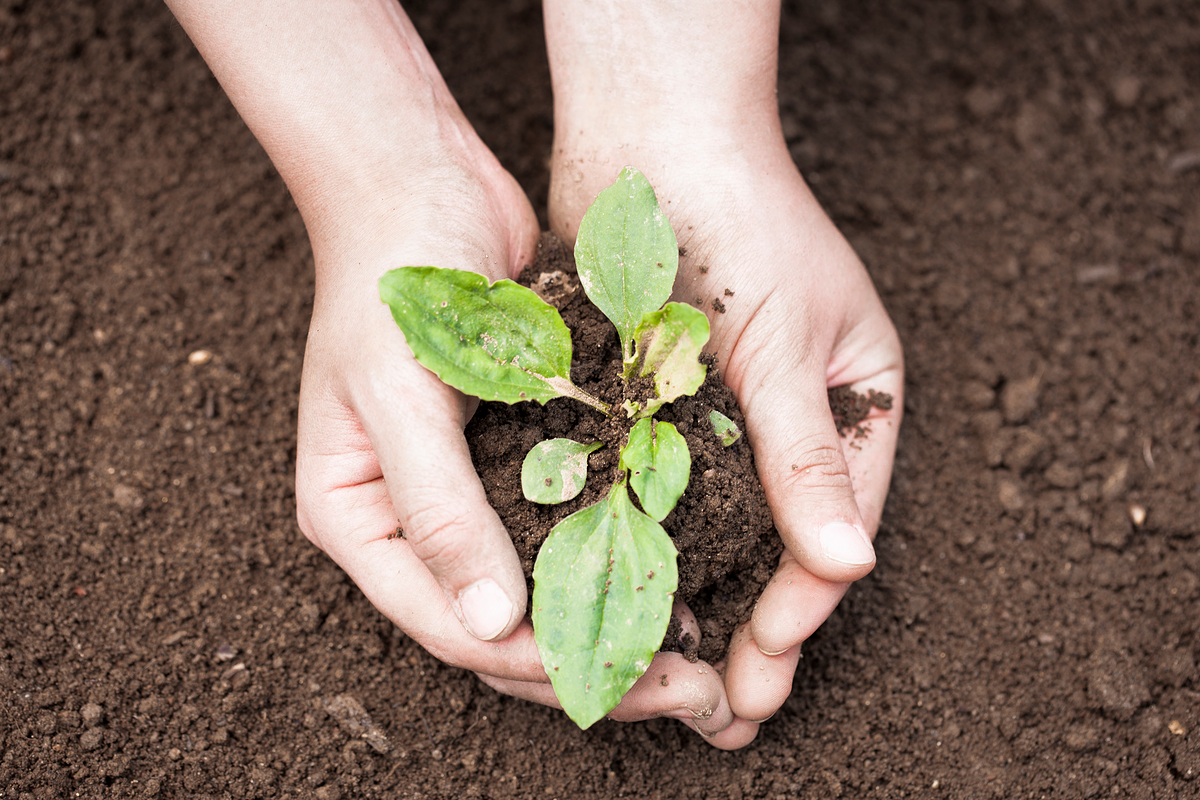 (이미지투데이)