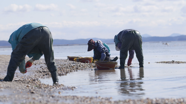▲'다큐멘터리 3일' 서산 고파도(사진제공=KBS 2TV)