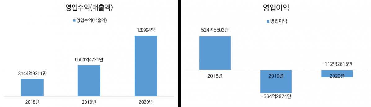 (출처=금융감독원 전자공시시스템)