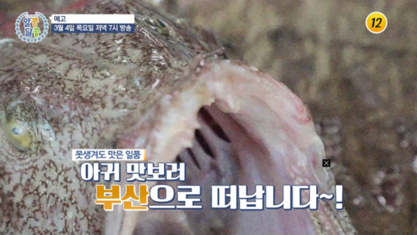 ▲'알콩달콩'(사진제공=TV조선)