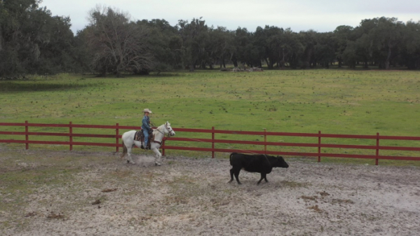 ▲'걸어서 세계속으로' (사진제공=KBS 1TV)