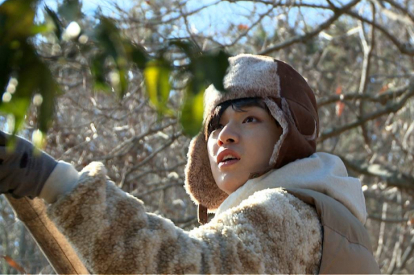 ▲'정글의 법칙'(사진제공=SBS)