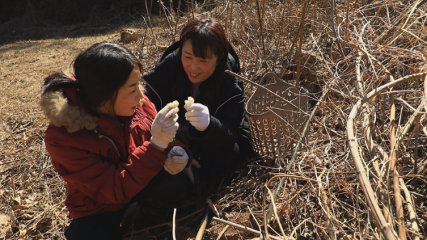 ▲'한국기행'(사진제공=EBS1)