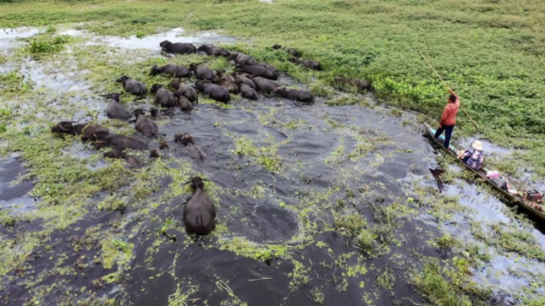 ▲'세계테마기행' 인도네시아(사진제공=EBS1)