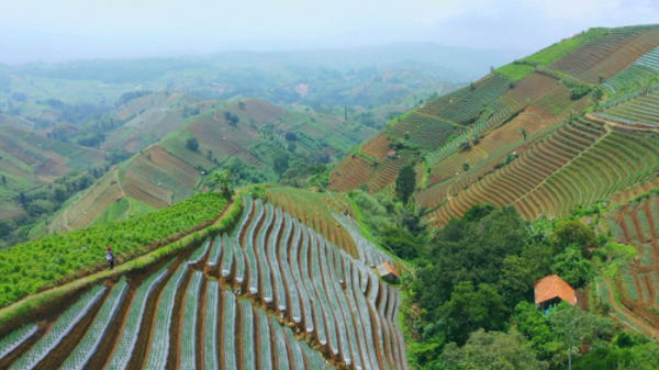 ▲'세계테마기행' 인도네시아(사진제공=EBS1)