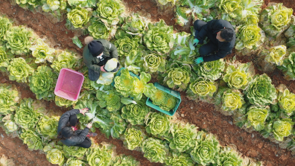▲'한국기행'(사진제공=EBS1)