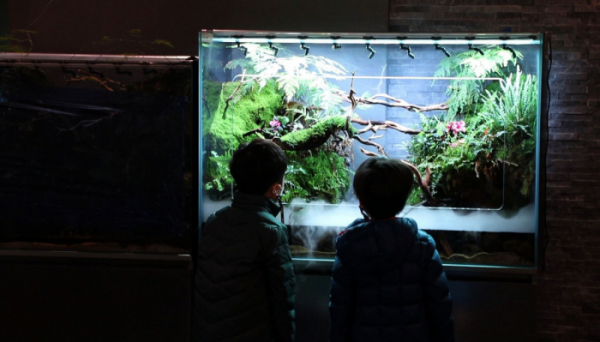 ▲‘관찰카메라 24’(사진제공=채널A)